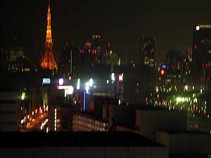 view.jpg