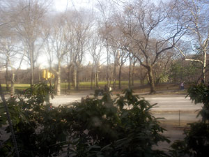 garden.jpg