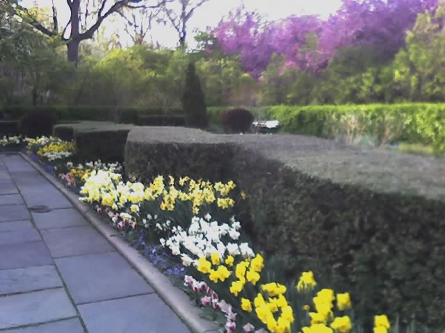 Conservatory Garden, Central Park