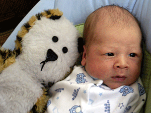 hobbes.gif