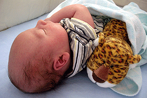 leopard2.gif