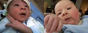 week_2to7.gif