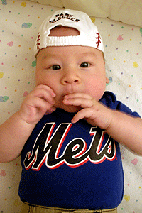 mets_T_s.gif