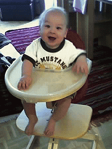 high-chair-s.gif