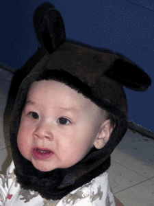 bear.gif
