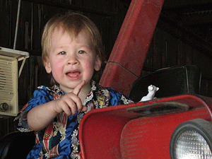 tractor_cal.gif