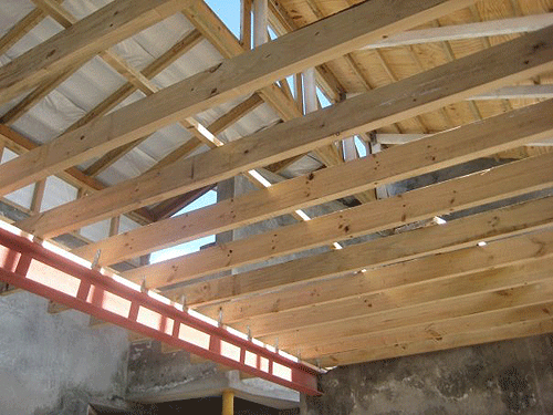View of the roof trusses.