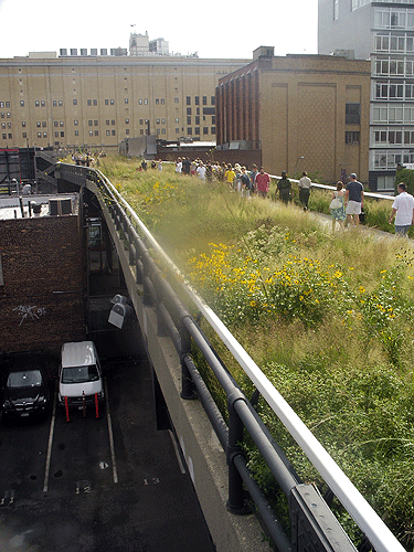 hiline An elevated oasis in the city.