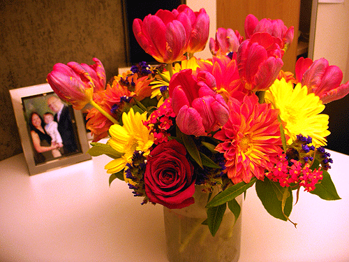 bd_flowers bd_flowers