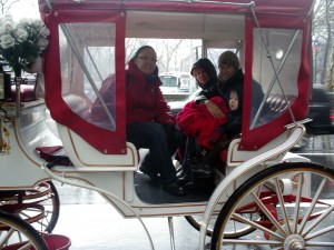 The experience economy: a desired ride on this specific Central Park horse and carriage.