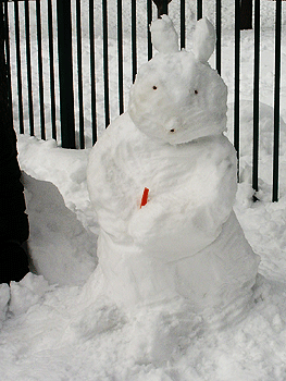 snowbunny Our snowbunny complete with carrot and cereal eyes and nose