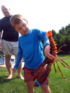 C&lobster