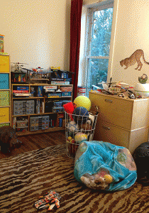 Games and toys are corralled on the shelves, and the carpet is the perfect play area.