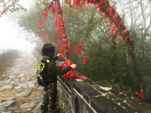 Adding our hopes to the wishing tree.