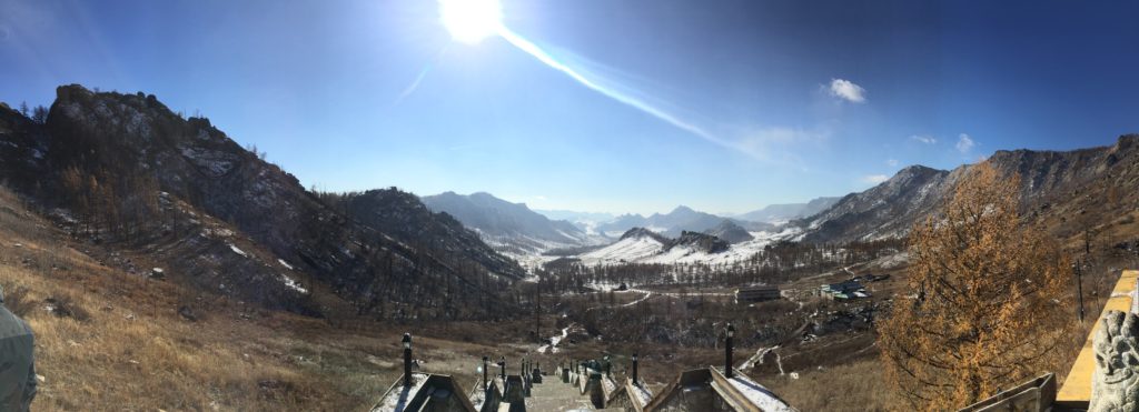 view